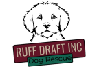 Ruff Draft Inc