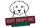 Ruff Draft Inc